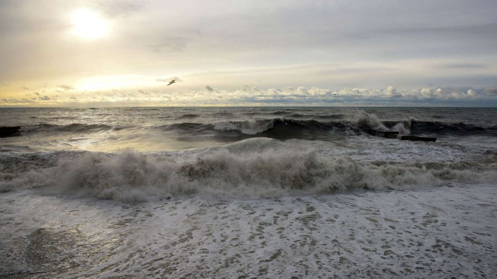 � ������� ���������� ������ ������� �� ������� ����