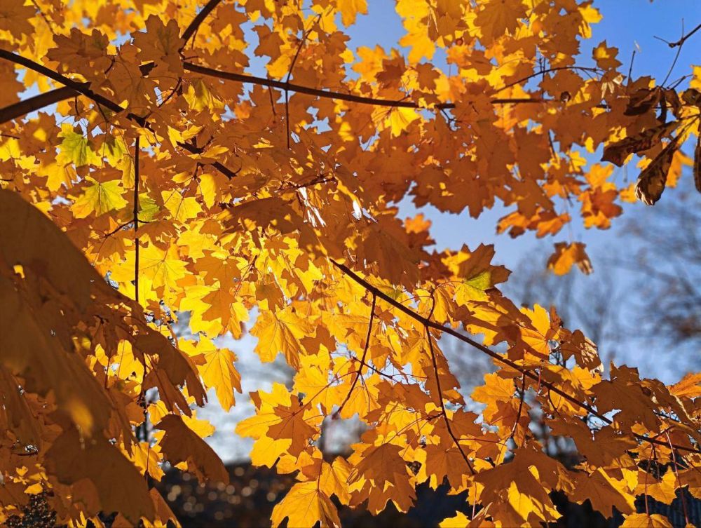 �� ��������� ������ ������������ �� 14� ����� ����