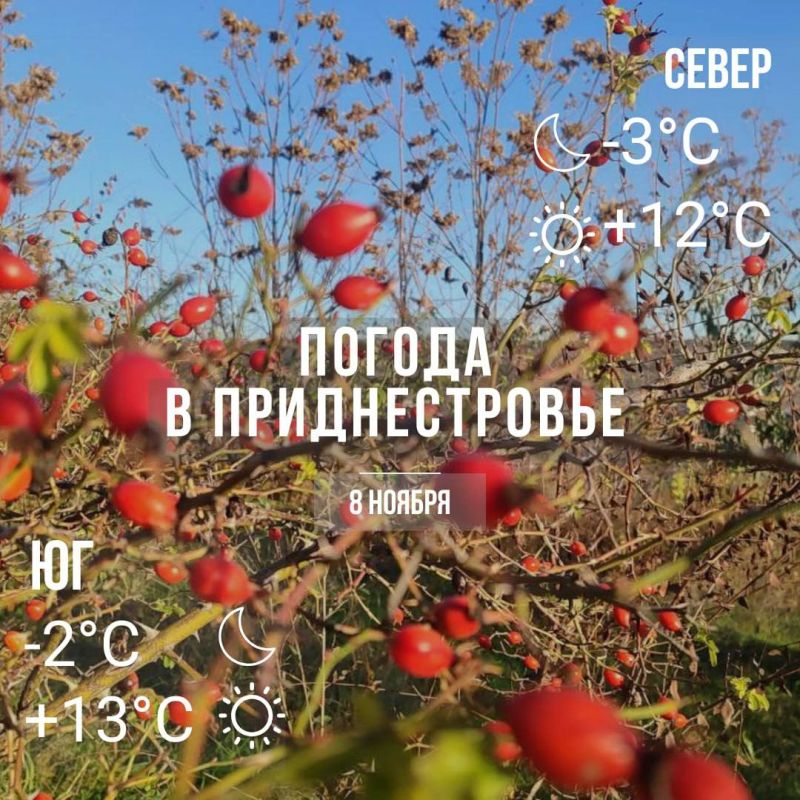 ���� � �� +13��. ��� �������