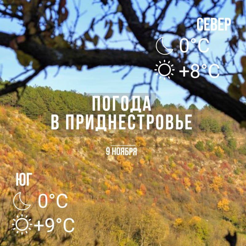 ���� � �� +9��. ��� �������