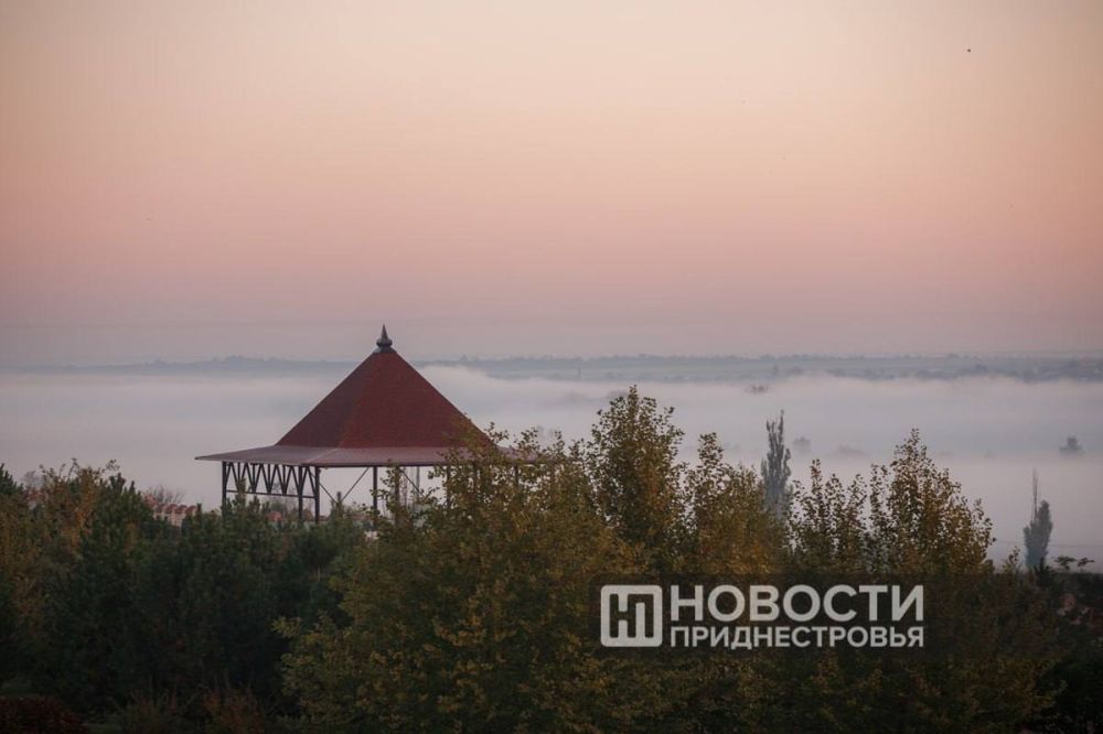 �������������: 11 ������ ����� � ����� ��������� ������� ����� � ���������� 500-1000 ������