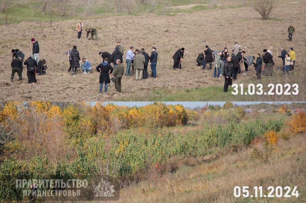 �������� ���������� ������