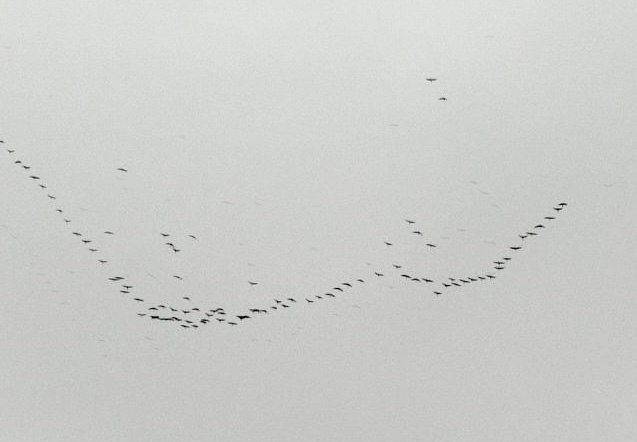 ������� ������ ���� ������� ���� ���� ������� �� ��, �������� ��� ��������������