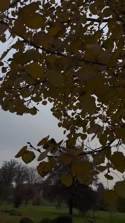 ����� ������ ����� � �����������