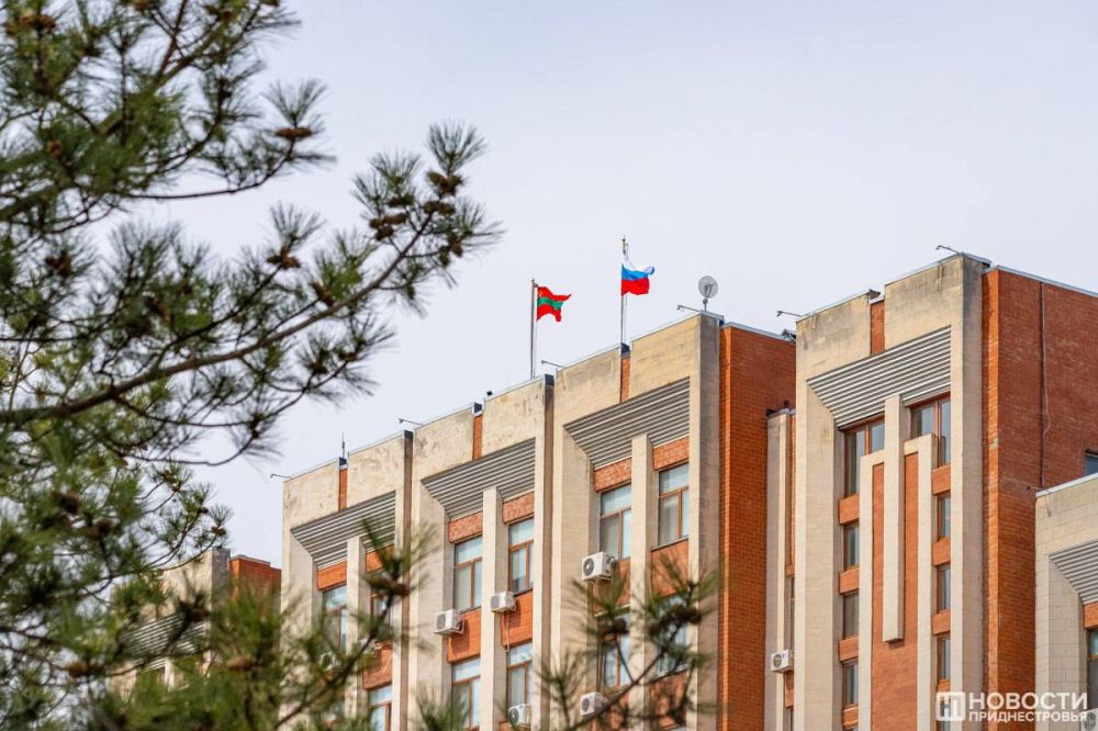 12 ������, ������� ���� ���: