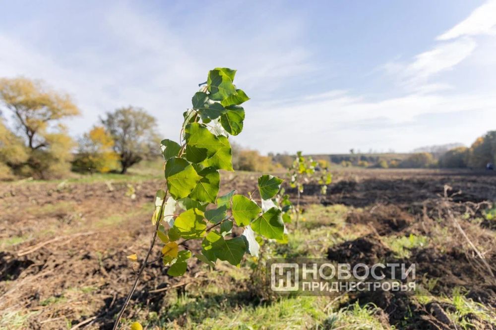 ����� ���: ����� 83 �������� �������� ���� �������� ��� ��������������-��� � ���� ����