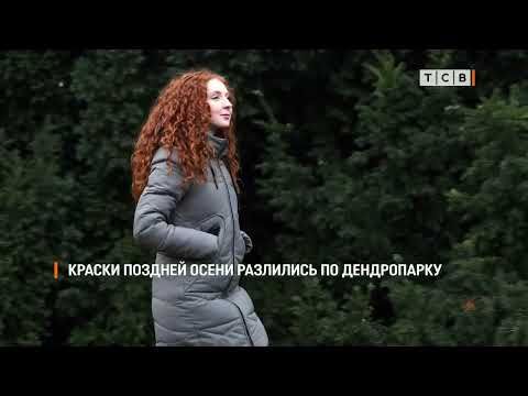 ��������� ������ ����� ���� �� �������