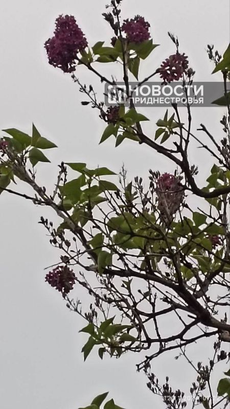 ����� �������� ������, �� ������ � ������������� ��� ������