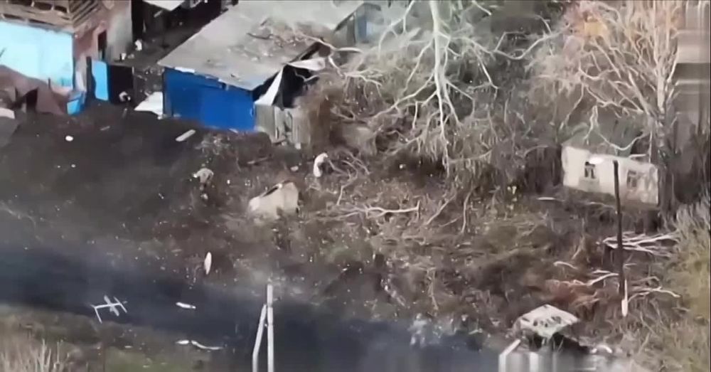 ������� �� �� ��� ����� ���������� ���������� �������� �.� ������� ���� � ������������, ������� �������