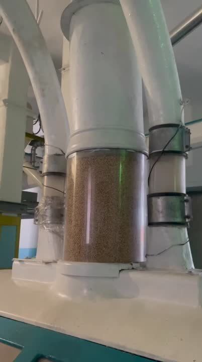 ����� ������� �� ������������� ��������� �������������� � ������� �����