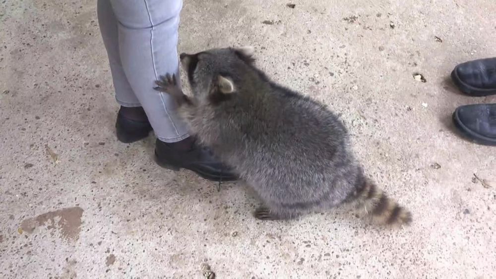 ������ ��������� � ���������