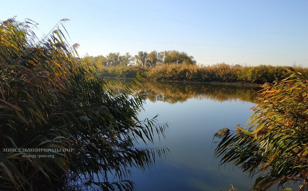 ������� ������. �������, 12 ������, ��������� �������� ������, ��� ������������ �������