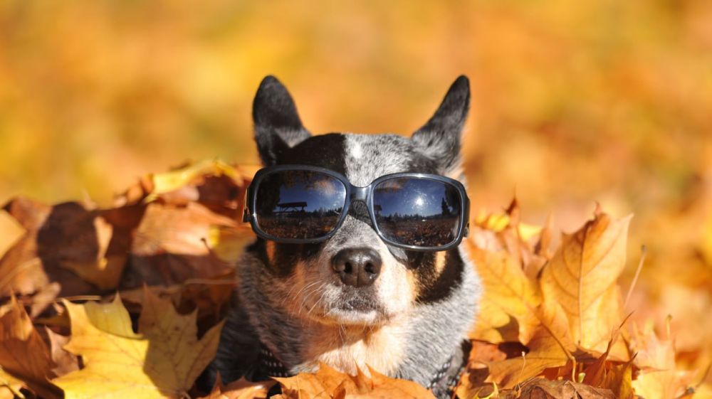 ���� ��� ������, ����� ������ ����������� �� ���������, ������� ����� �� ������ � �������� ����� � ���������