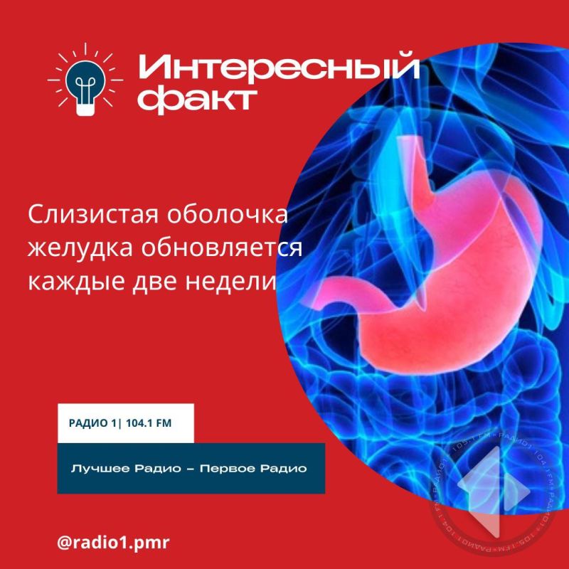 ��� ������ �������� ��� � ������������� �������� ���������� ����������� � ������������ ������