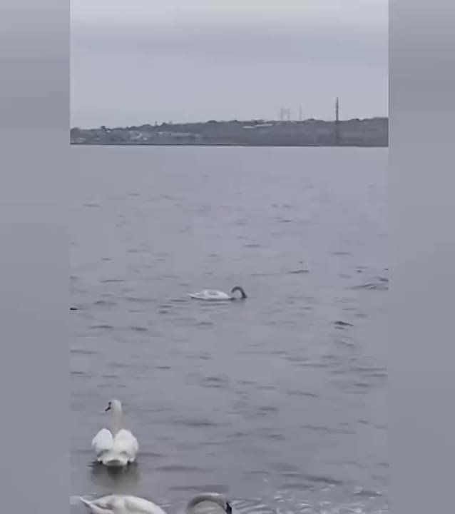 ������ �� �� �����: � ���� ���� � ������ ������ � ������ ��� ����������