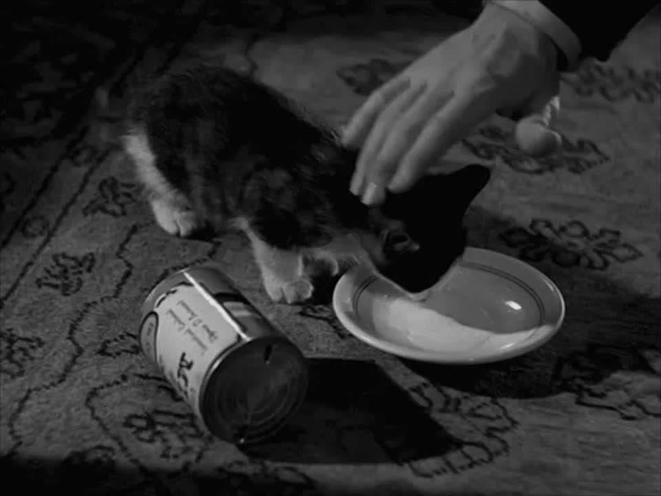 ��������� ���� ������� ���������� �������!