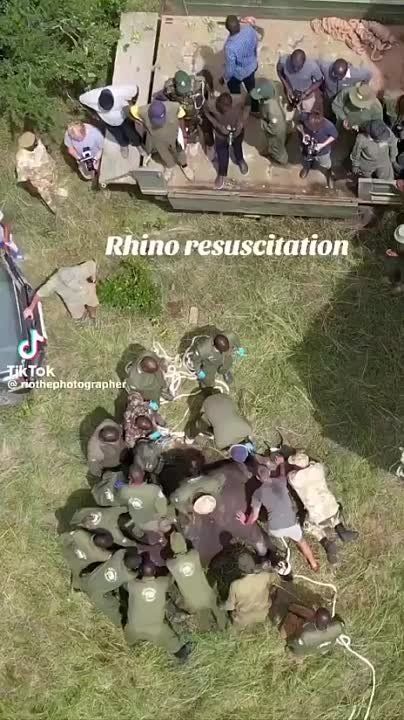 ������ �������� ������������� � ������� ������� ������ � �����