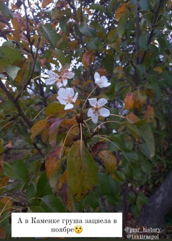 � � ������� ����� � ������ �������