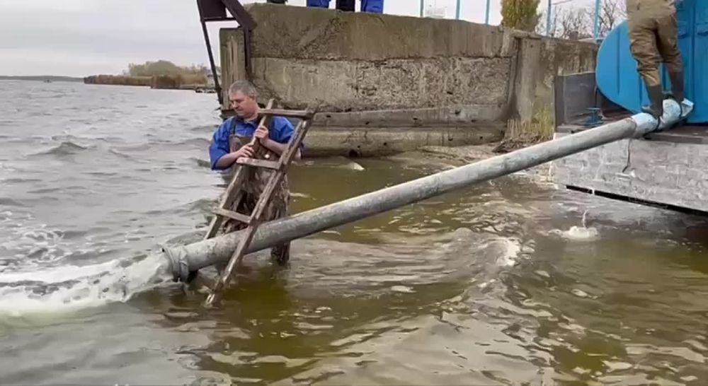 ����������� ���������� ���� ������� ������ ���� �������� ����������