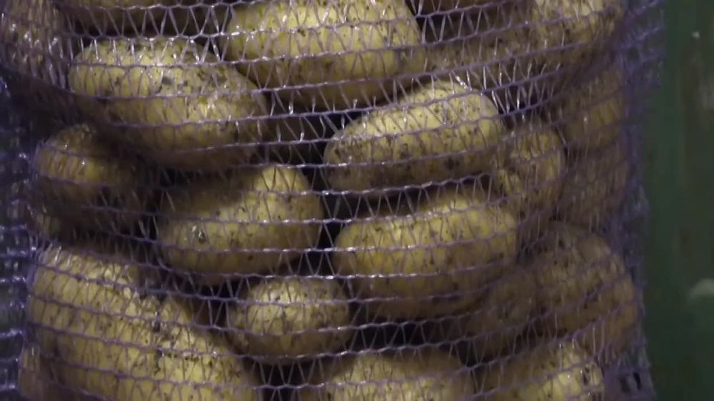 �� ��� ���, � ��� ����