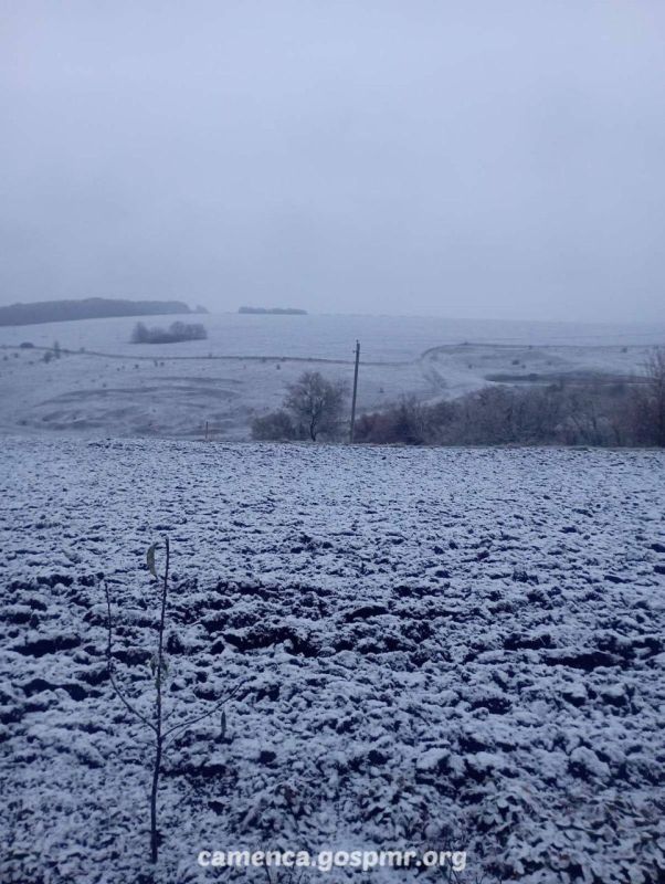 � ��� �������� ���� �����