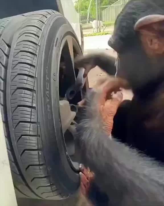 ��������-����������� �� ������