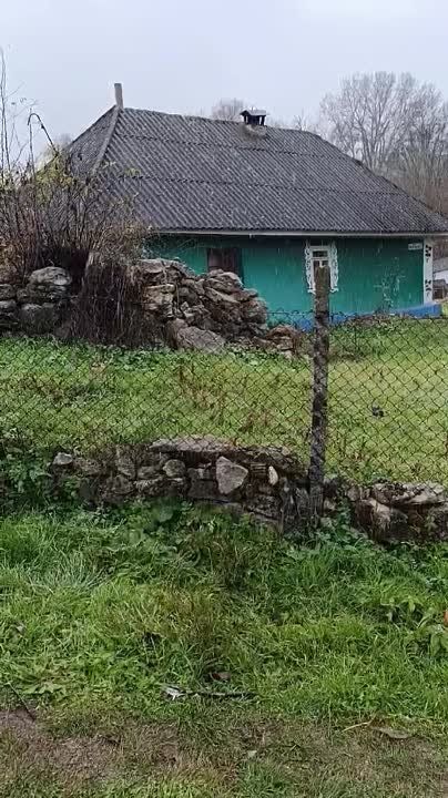 � � ������� ���� ����������