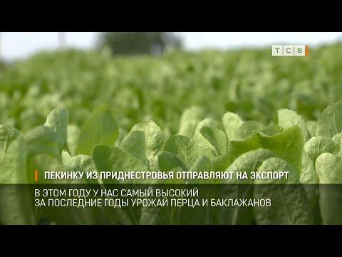 ��������������� ��������� ������� ���������� �� �������