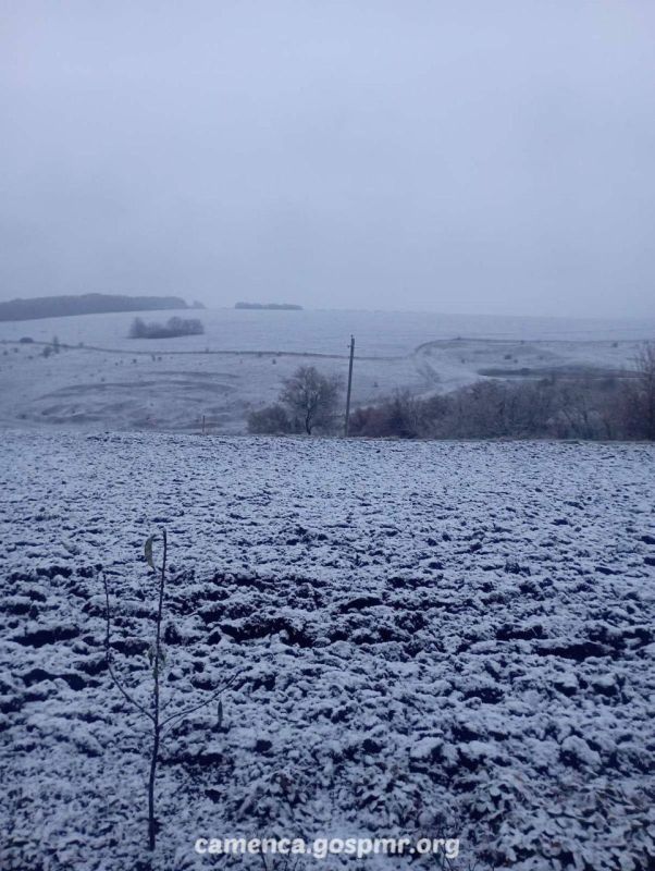 ���� � ���� �����