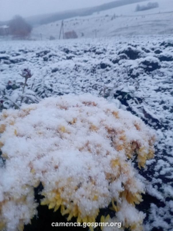 � ������ ������, ������!