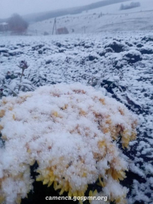 ������� �� ������ ������������� ������ ��������� ������ ������, ��� ���-��� � ����� ����