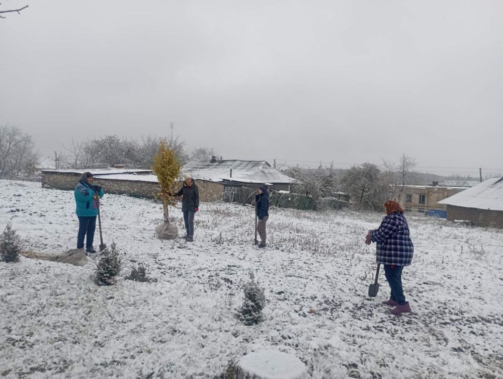 ������� ����� � ���� ����� ������� ����� �� ����������