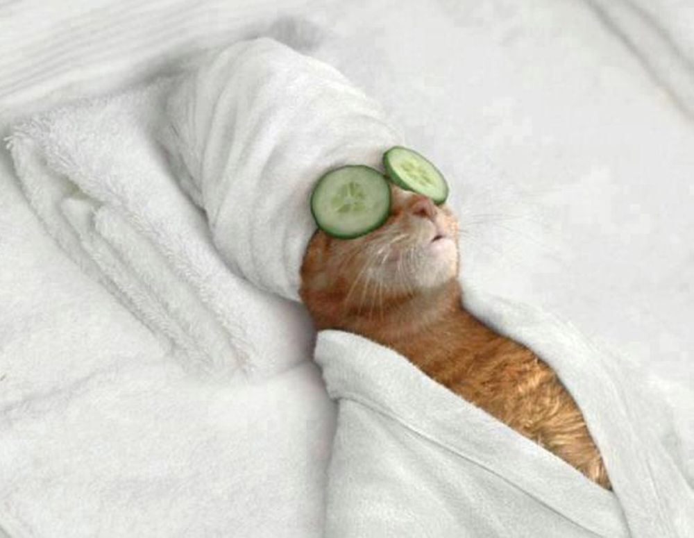 ������� �������� �e�� pacc�a��e��oc�� � �e��a�o��oc�� � � ���� ���� ����� �������� ������� ���� � ���������