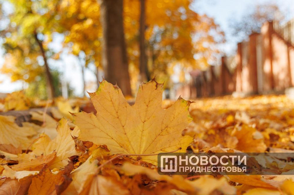 ���� ������, ��� ������, ���� � ������ �������� ������ � �������������