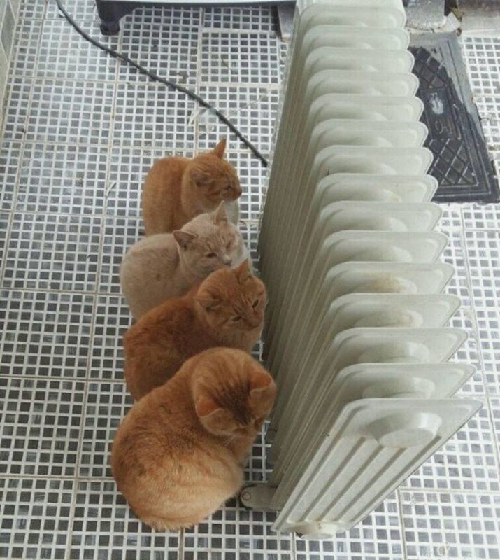 � ����� ��������� ������ ��� ����������� �� 4 �������� ����� ����, � ����� � ������ �� -3. ��� � ����� �� ������ ������� ��������