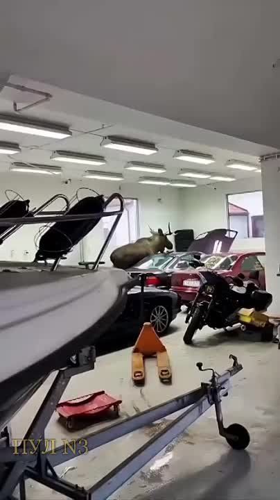 ���� ���� �� ����� BMW: � ������ ������� ������� � ��������� � ������� ������, ������ ��������� ���������� BMW