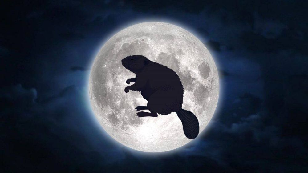 �������� ���� ������ ������� �����