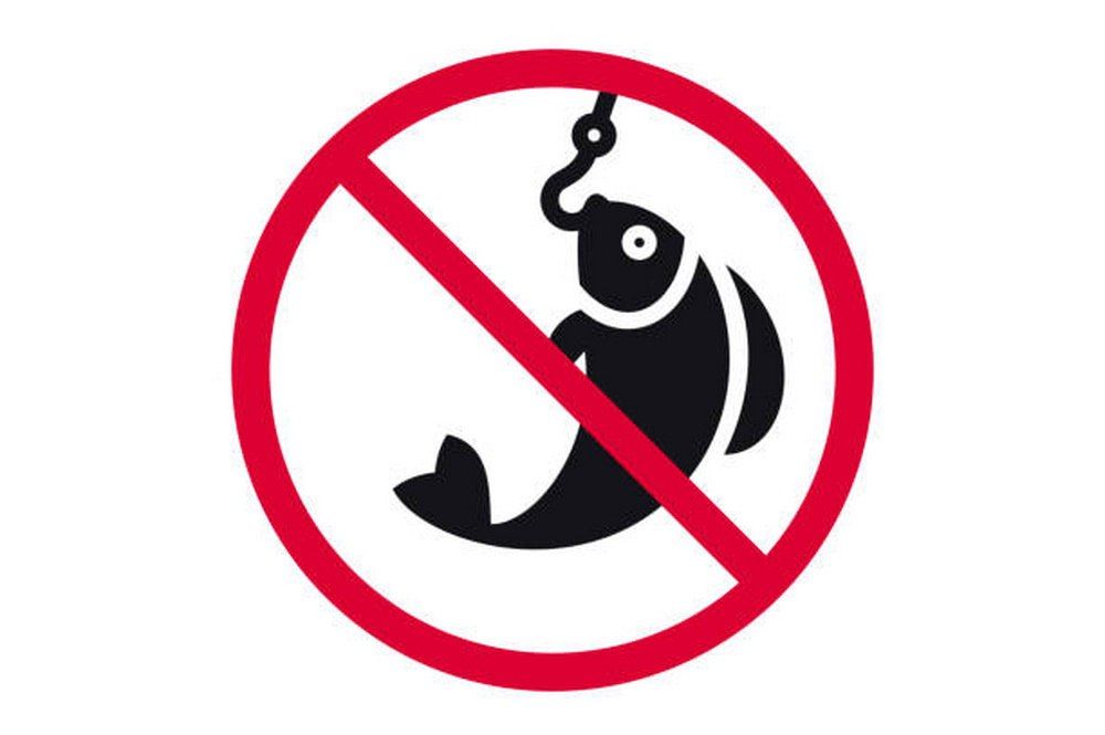 ������ ����������� �� ����������� ����