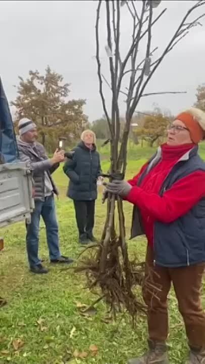 ��������� ���� �������� �������� � ������������ ���� ��� ���������� ������ �����������