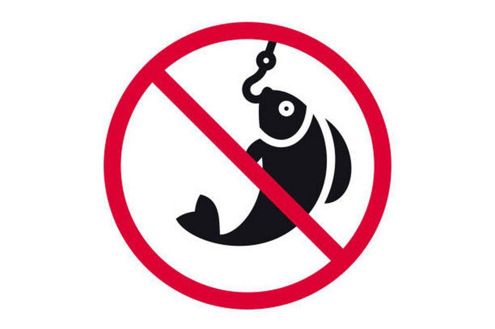 ������ ����������� �� ����������� ����