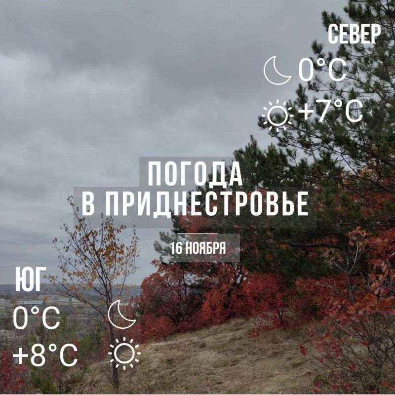 ���� � �� +8��. ��� �������