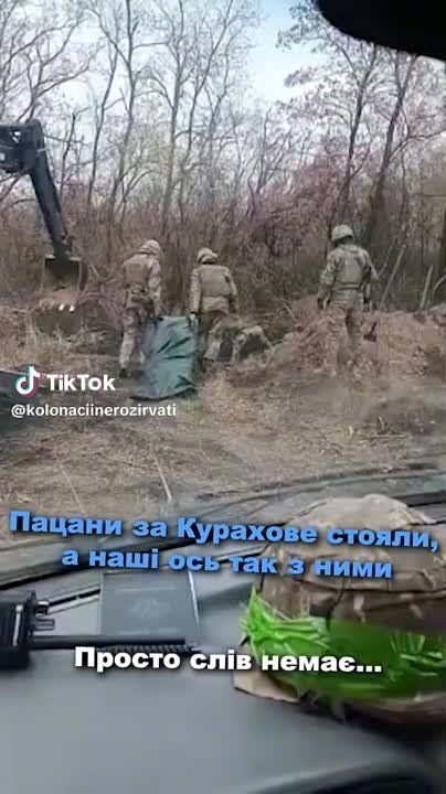 ������ ��������� - �������� ������