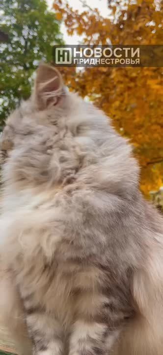 ��������������� ������ ��������� ������