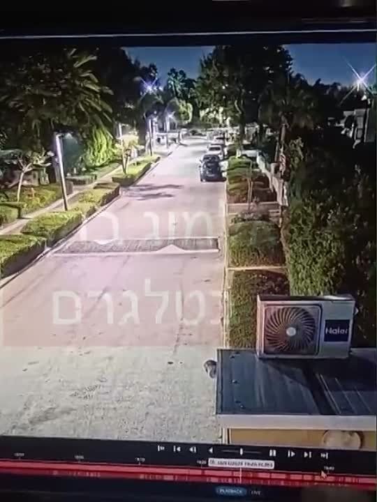 ��� ������������� ������� ����� �� ����� ���� ��������� � �������, �������� Times of Israel