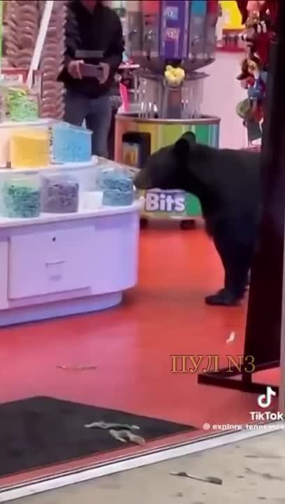 ������������ ����� � �������� � � ��� �������� ������� ������ � ������������: �� ����� ������� �� ������ �����...