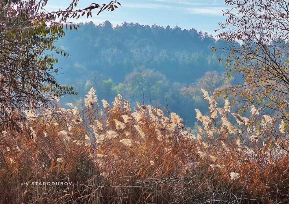 ���������� ������ � ����������� "�������"