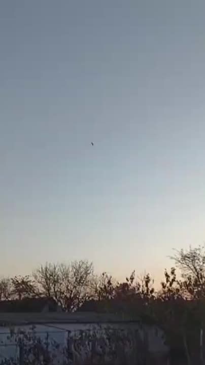 �������� ������ ���� �� ���� � �������� �������