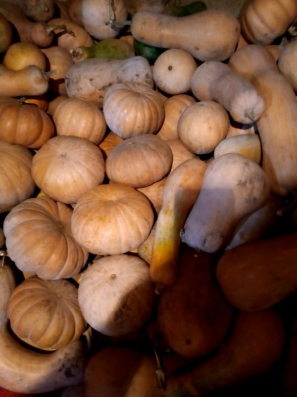 ��������� � ��������. ���������� � �������� �������