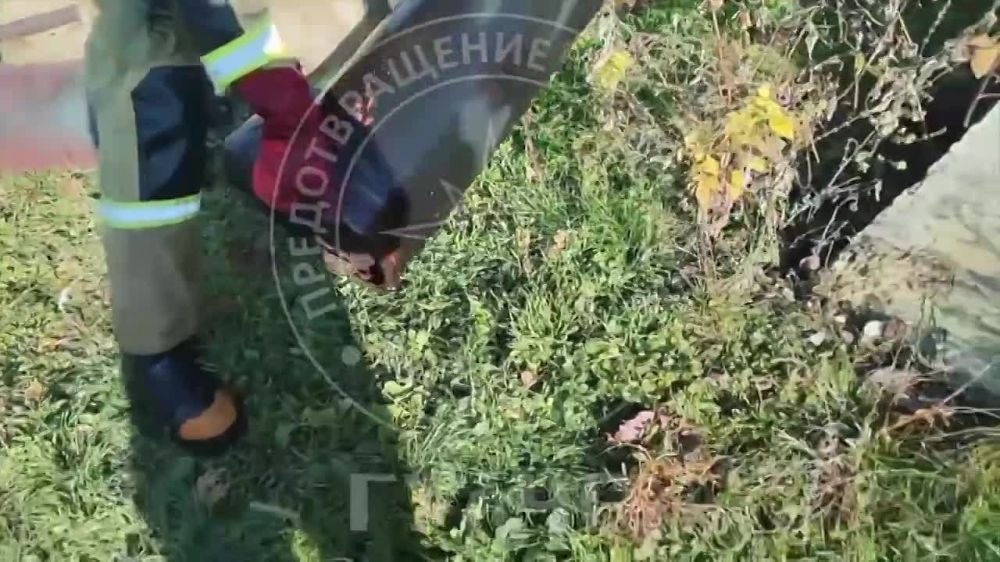 � ��������� ���� ������� ������ ������������ � �������� ���������