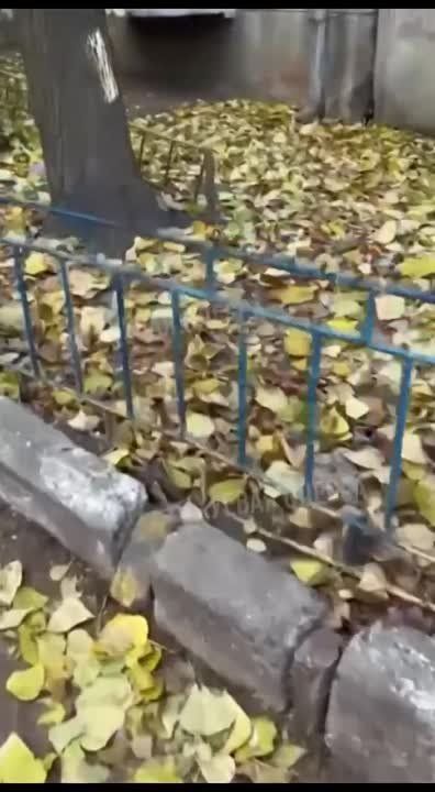 � ������ ��� �������� ����� ������� �����������